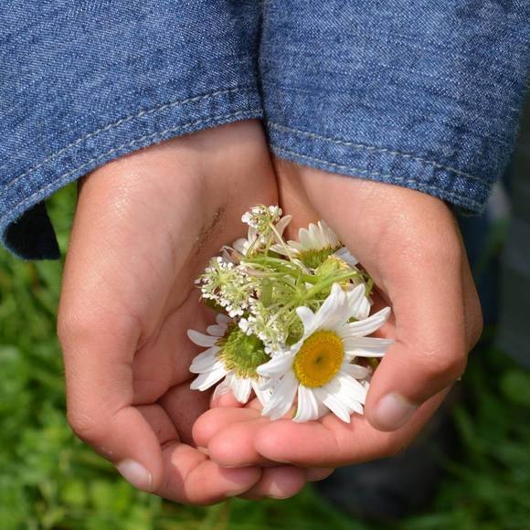 Meet your Posher, Ryan - Picture 1 of 1